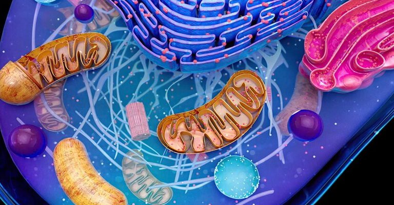 Microbial Physiology and Metabolism MCQs