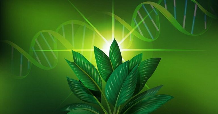 Plant Genetics and Biotechnology MCQs