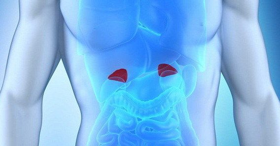 Adrenal Glands MCQs