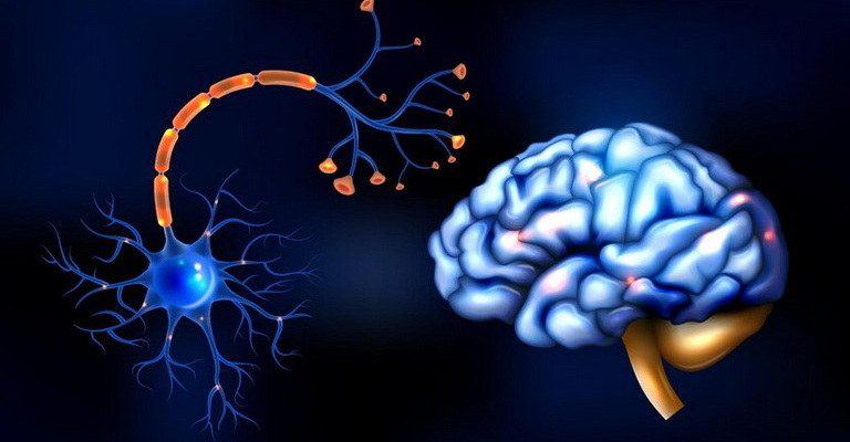 Central Nervous System MCQs