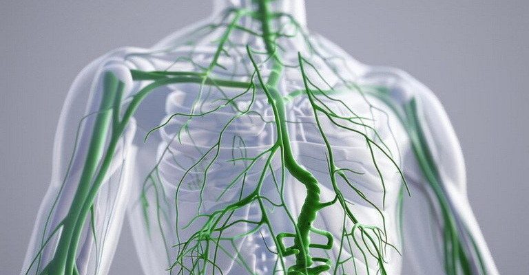 Lymph Nodes MCQs