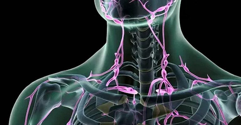 Lymph Vessels MCQs