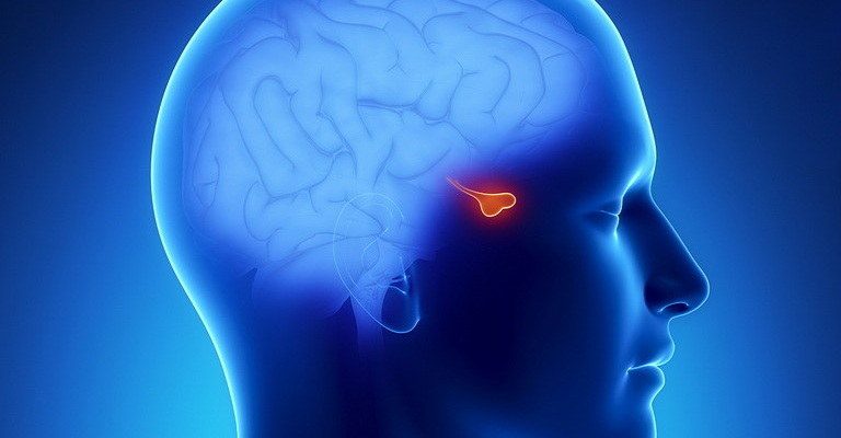 Pituitary Gland MCQs