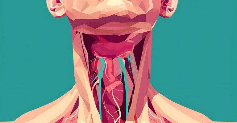 Endocrine System MCQs