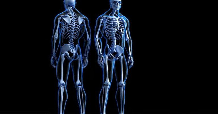 Skeletal System MCQs