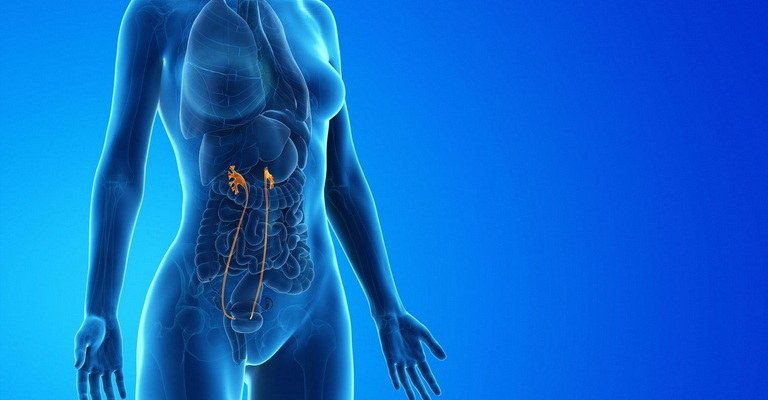 Ureters MCQs