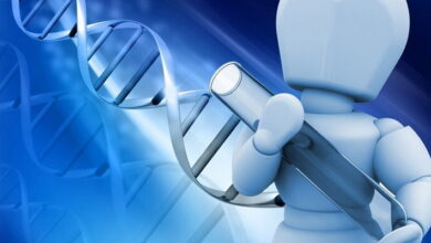 Recombinant DNA Technology MCQs