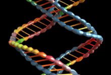 Chromosome and DNA MCQs