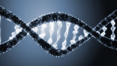 Human Genetics and Genomics MCQs
