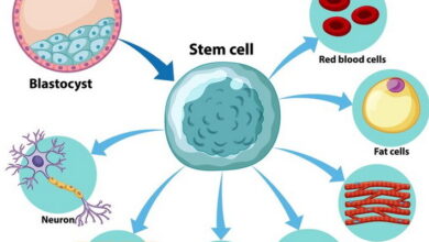 Stem Cell Biology MCQs