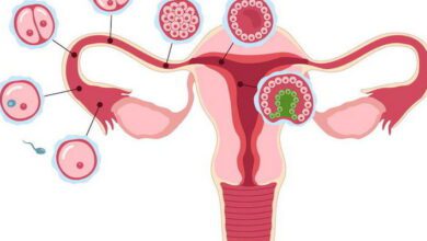 Female Reproductive System MCQs