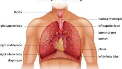 Lungs MCQs