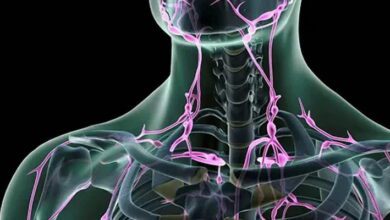 Lymph Vessels MCQs