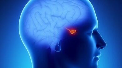 Pituitary Gland MCQs