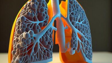 Upper Respiratory Tract MCQs